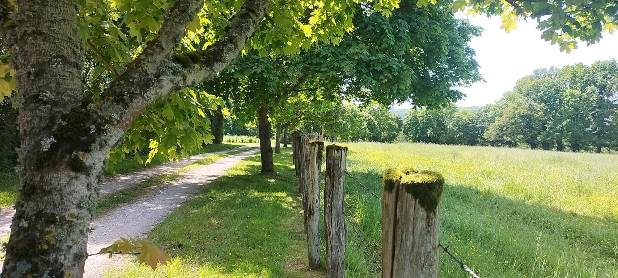 La Roulotte De Jane Pensionat Margon  Eksteriør billede